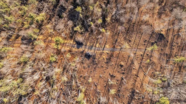 a view of a dry yard with lots of green space