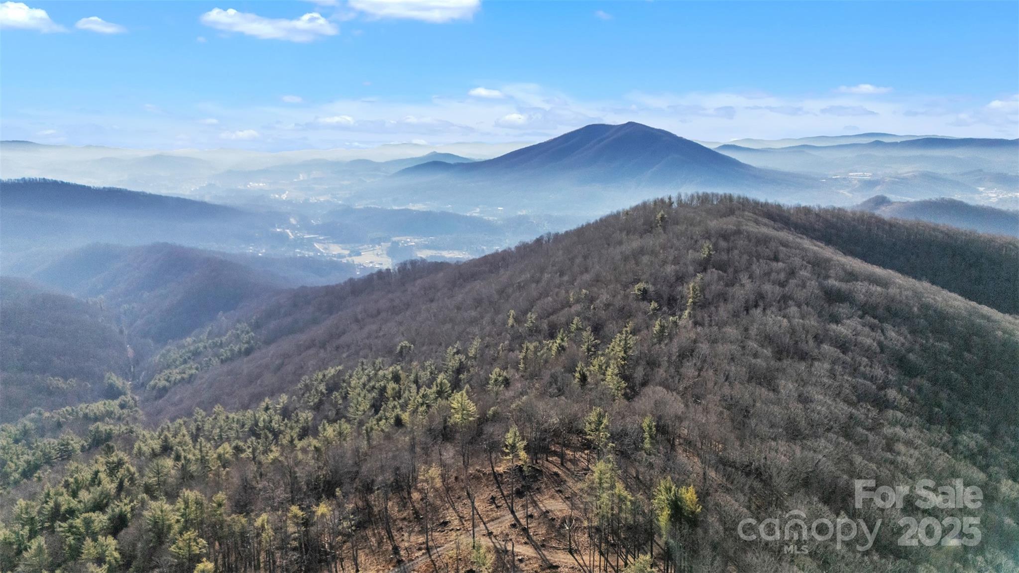 Tbd Johnson Hollow Road Jefferson, NC 28640 - Photo 19 of 44