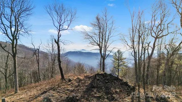 a view of a dry yard with mountains in the background