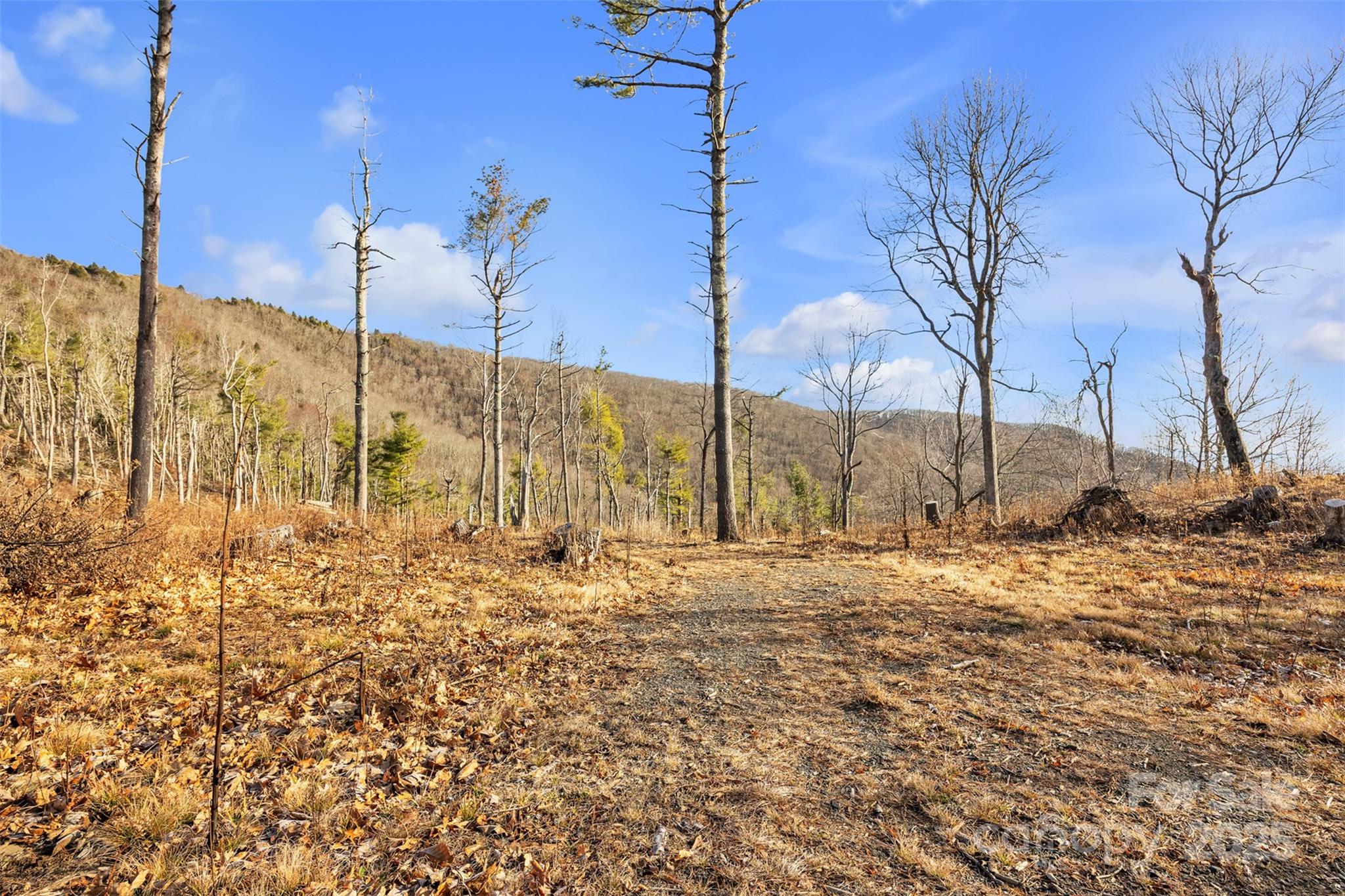 Tbd Johnson Hollow Road Jefferson, NC 28640 - Photo 2 of 44 a view of a backyard of the house
