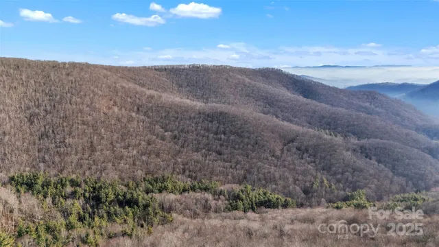 a view of a mountain