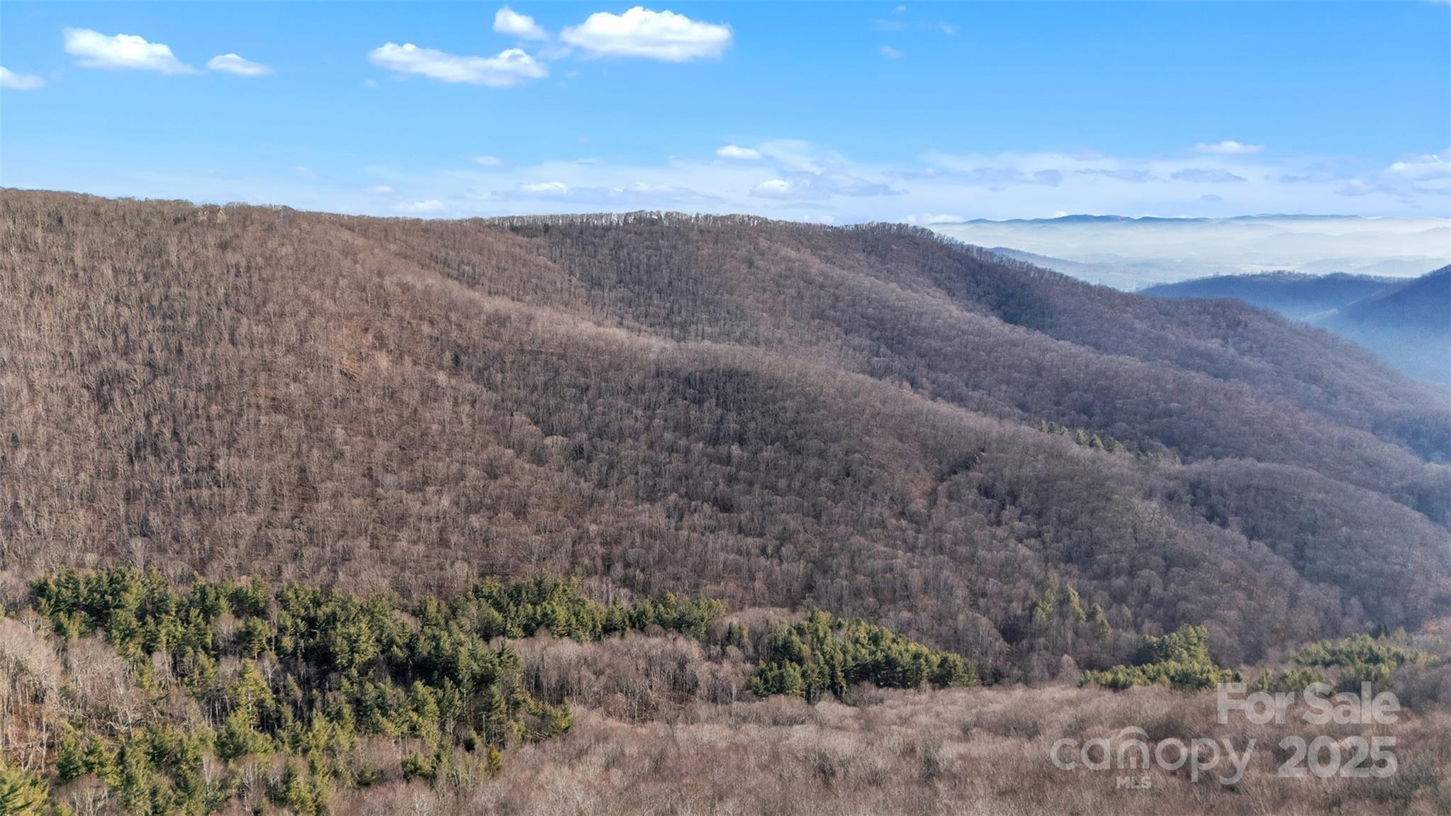 Tbd Johnson Hollow Road Jefferson, NC 28640 - Photo 21 of 44 a view of mountains and valleys