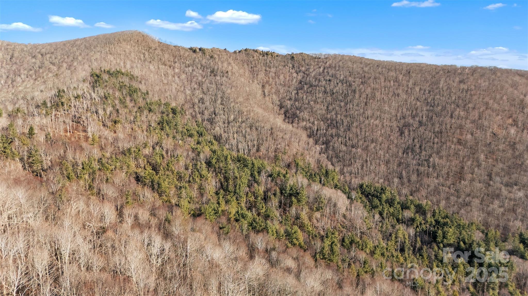 Tbd Johnson Hollow Road Jefferson, NC 28640 - Photo 22 of 44 a view of a dry yard with mountains in the background