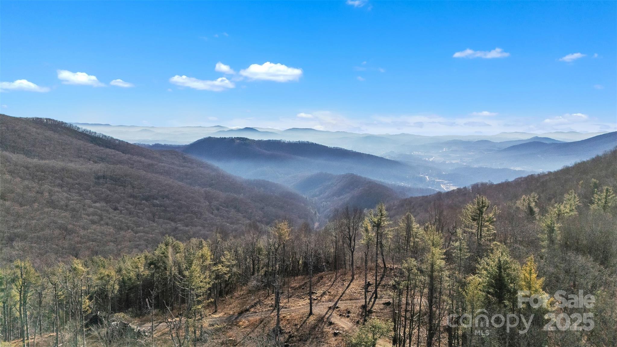 Tbd Johnson Hollow Road Jefferson, NC 28640 - Photo 24 of 44 a view of a dry yard with mountains in the background