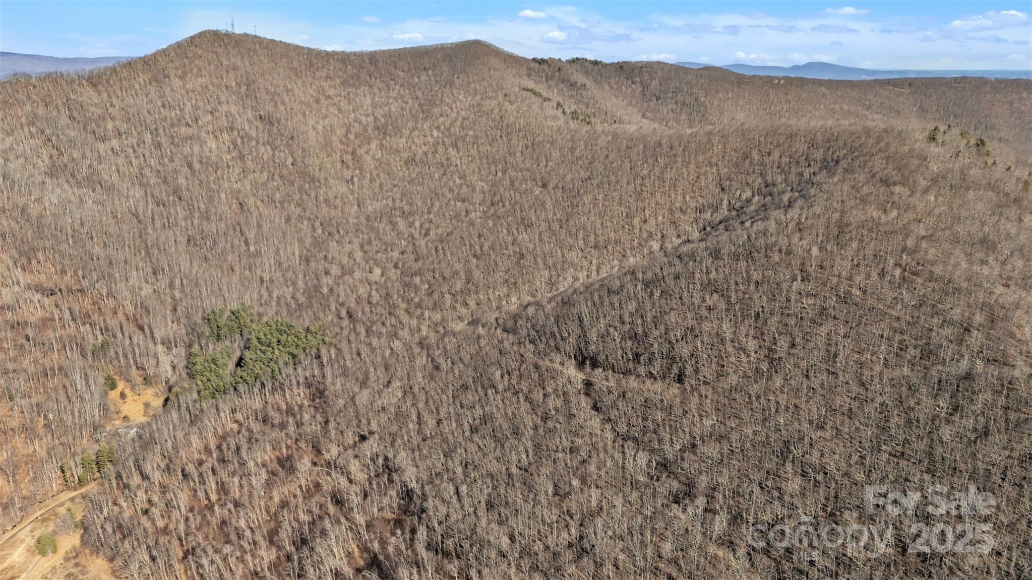 Tbd Johnson Hollow Road Jefferson, NC 28640 - Photo 27 of 44 a view of a dry yard with mountains in the background