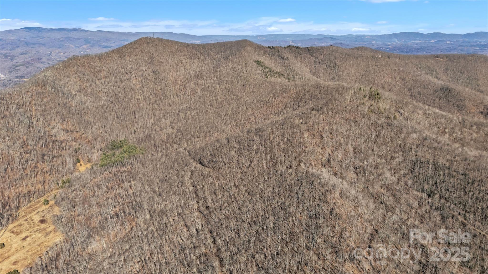 Tbd Johnson Hollow Road Jefferson, NC 28640 - Photo 30 of 44 a view of mountain
