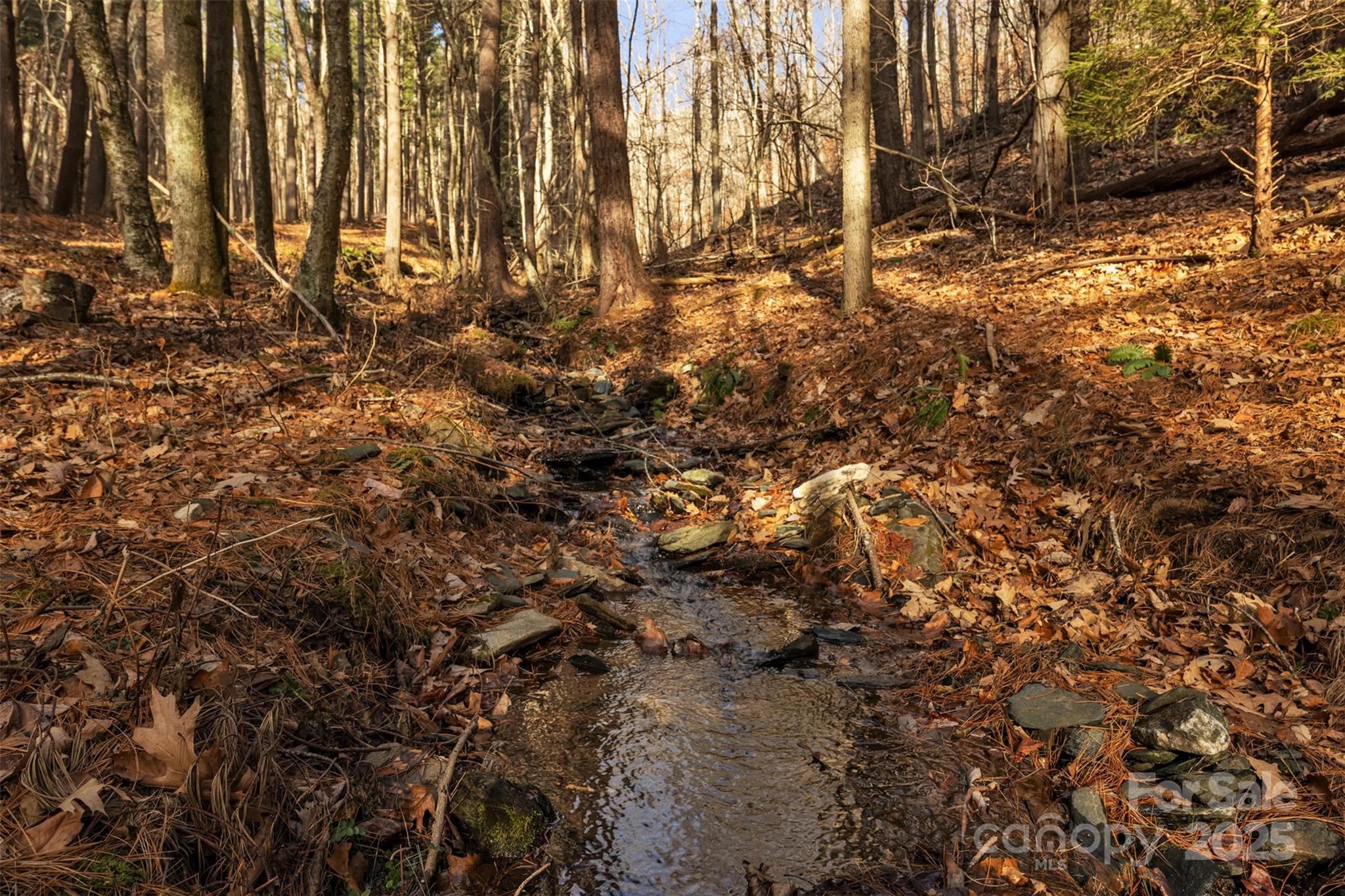 Tbd Johnson Hollow Road Jefferson, NC 28640 - Photo 3 of 44