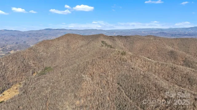 a view of wooden floor in a kitchen