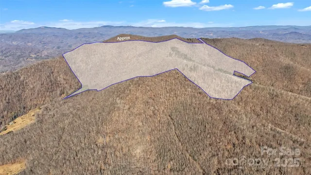 a view of a dry yard with mountains in the background