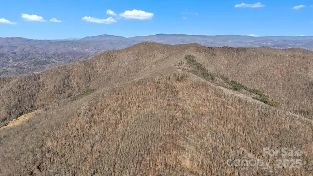 a view of a dry yard with mountains in the background