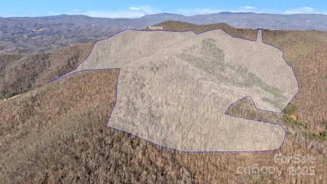 a view of a dry yard and mountain view