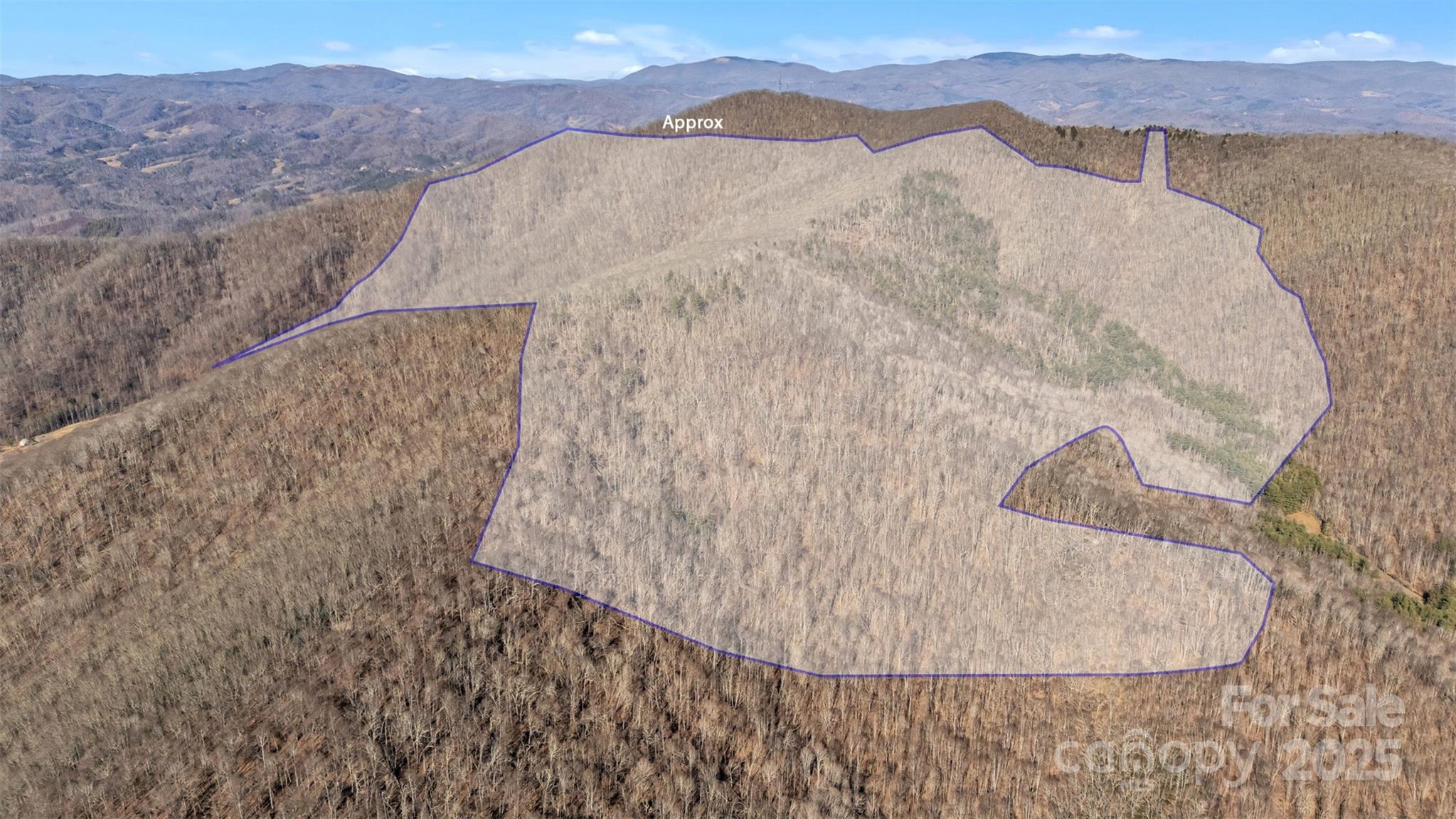 Tbd Johnson Hollow Road Jefferson, NC 28640 - Photo 34 of 44 a view of wooden floor in a kitchen