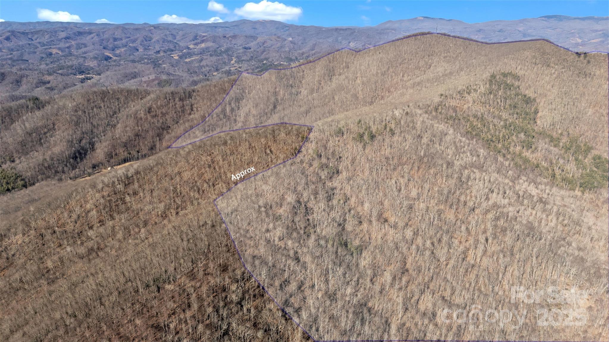 Tbd Johnson Hollow Road Jefferson, NC 28640 - Photo 35 of 44 a view of a dry yard with mountains in the background