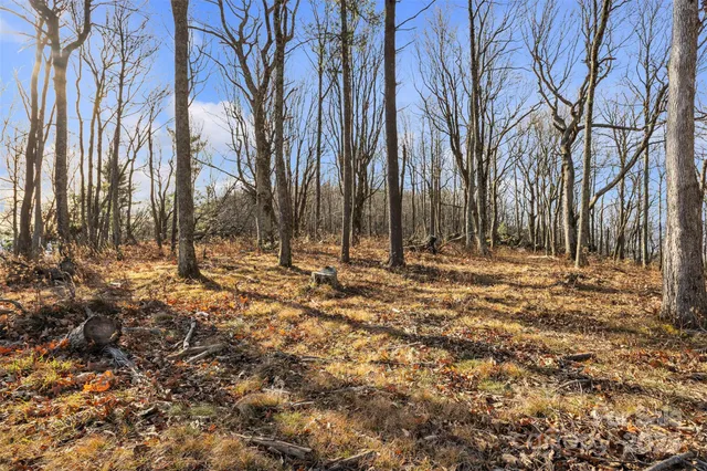 a view of a backyard with potted plants