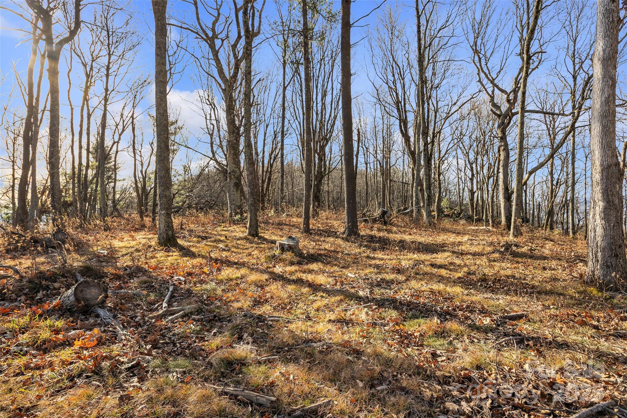 Tbd Johnson Hollow Road Jefferson, NC 28640 - Photo 40 of 44 a view of covered with snow