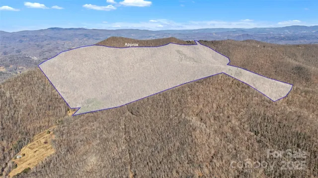 a view of a dry yard with mountain
