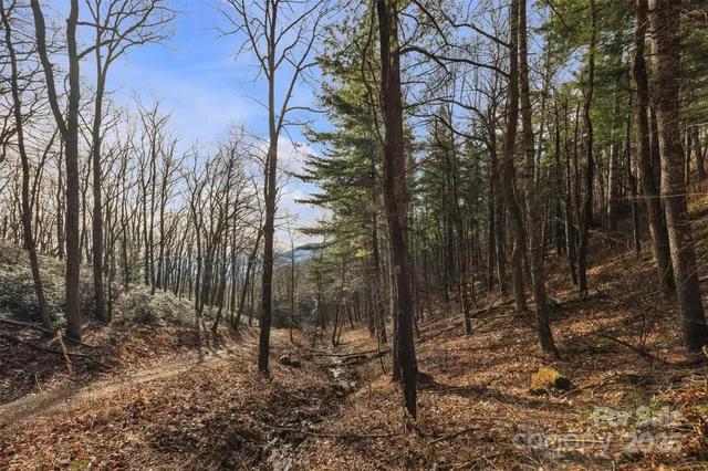 $3,000,000 | Tbd Johnson Hollow Road, Jefferson, NC 28640
