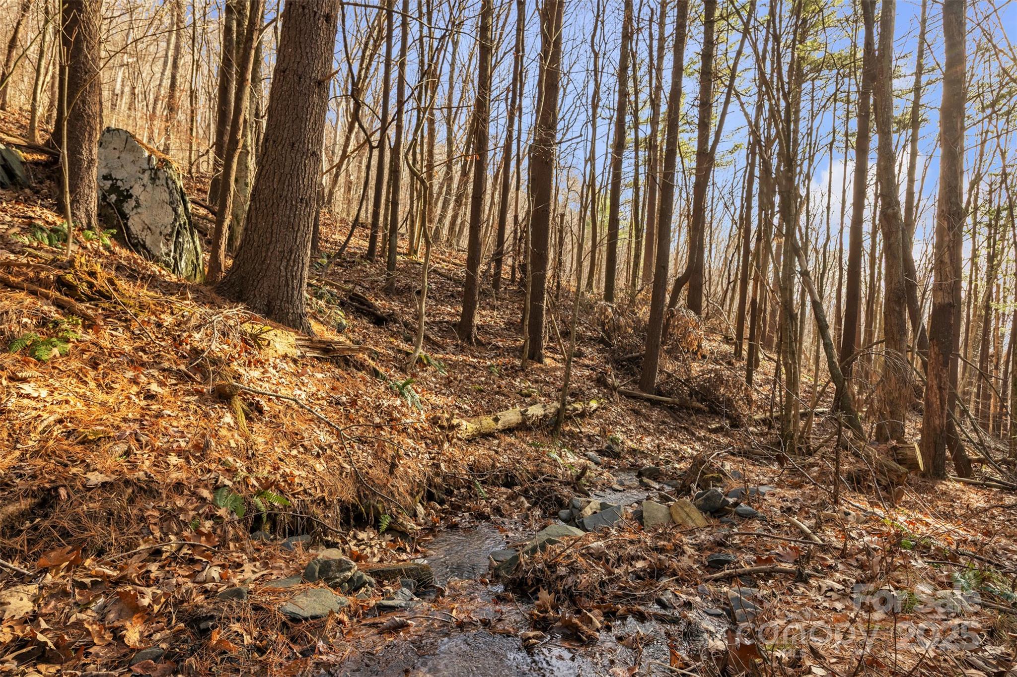 Tbd Johnson Hollow Road Jefferson, NC 28640 - Photo 43 of 44 a view of a backyard with potted plants
