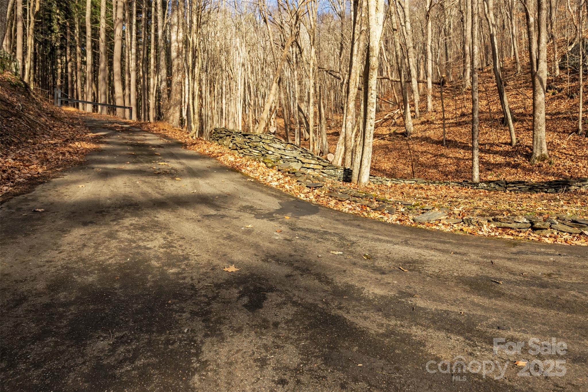 Tbd Johnson Hollow Road Jefferson, NC 28640 - Photo 44 of 44