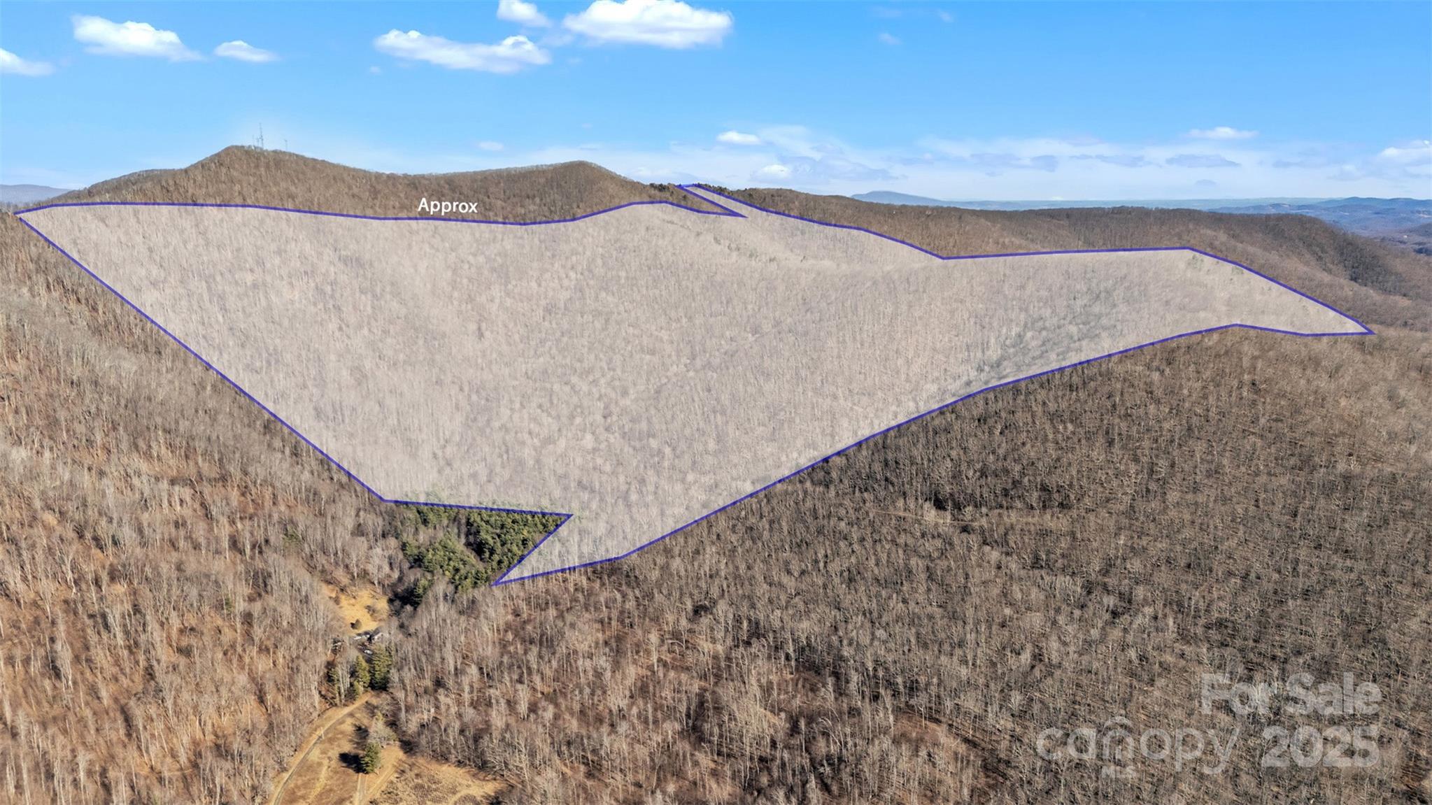 Tbd Johnson Hollow Road Jefferson, NC 28640 - Photo 5 of 44 a view of a dry yard with mountain
