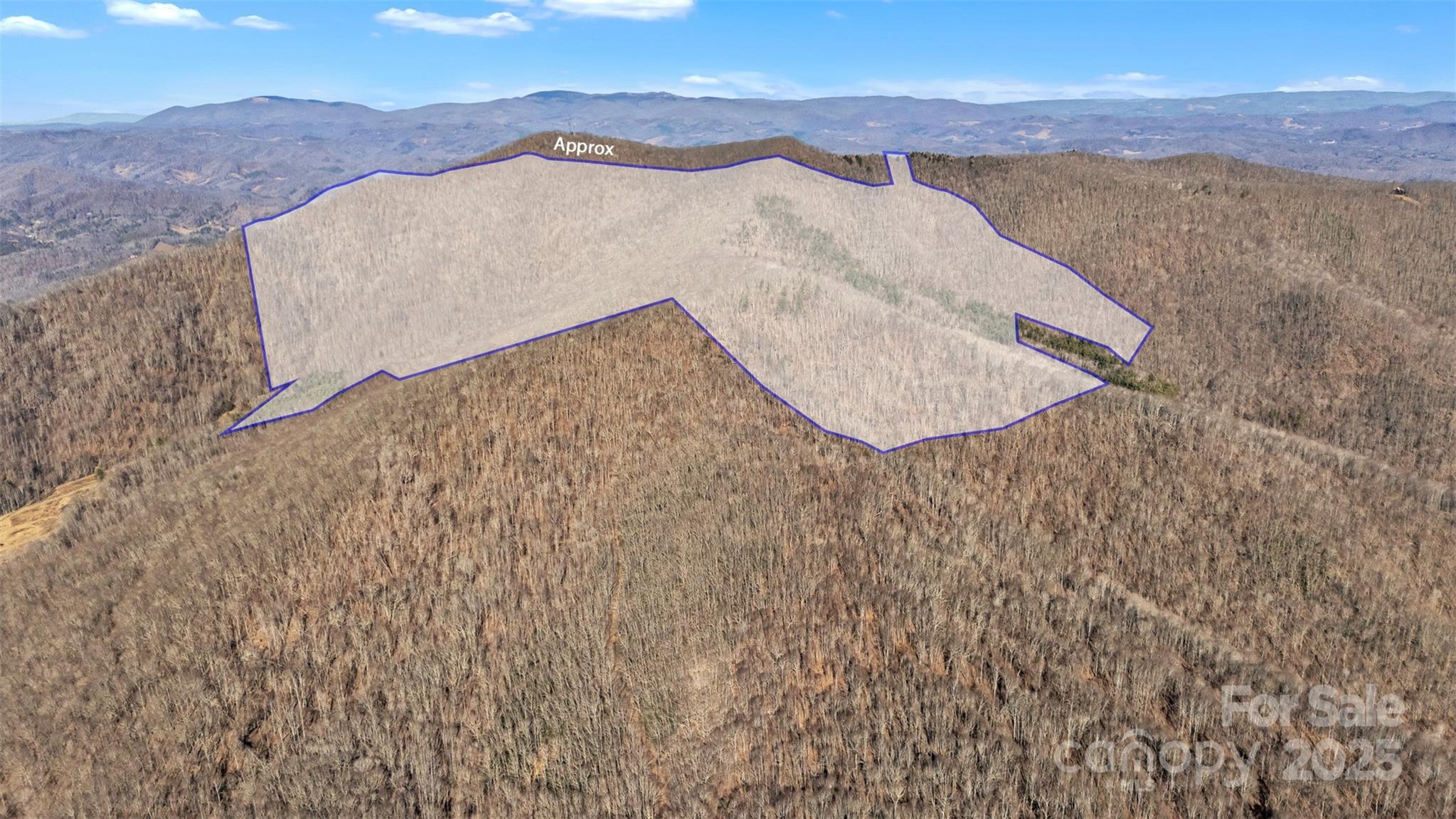 Tbd Johnson Hollow Road Jefferson, NC 28640 - Photo 6 of 44 a view of wooden floor and a ocean view