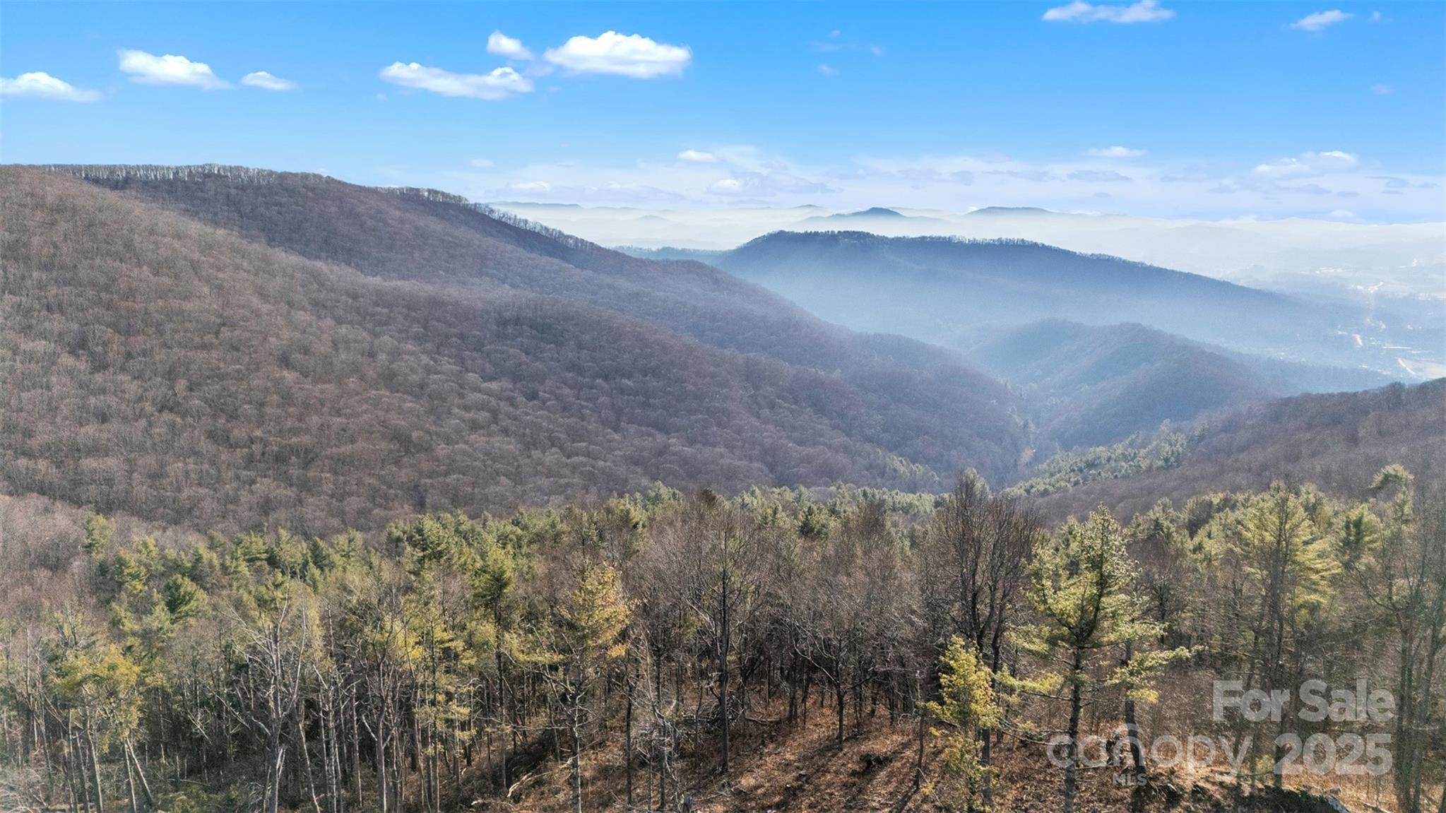 Tbd Johnson Hollow Road Jefferson, NC 28640 - Photo 7 of 44 a view of a dry yard