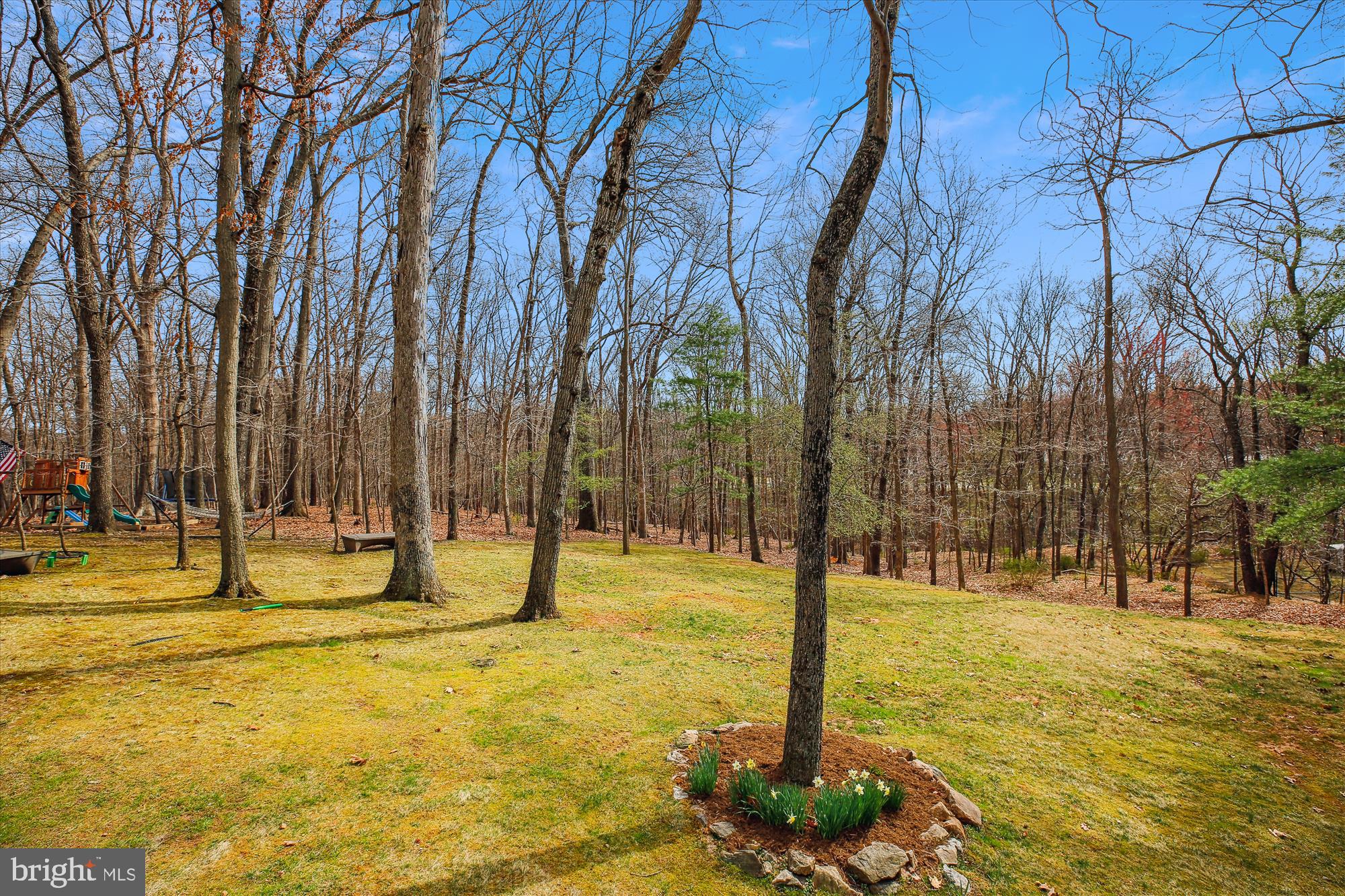 204 Hermleigh Road Silver Spring, MD 20902 - Photo 52 of 60 Spectacular Natural Landscape