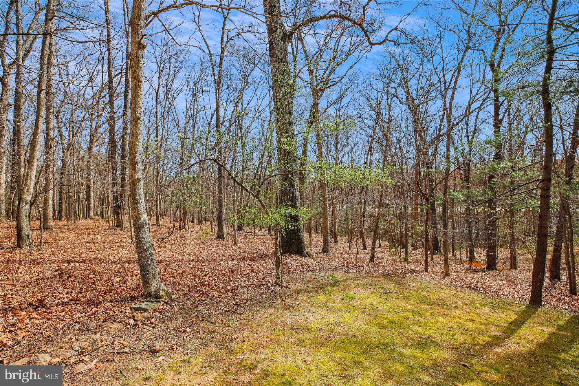 204 Hermleigh Road Silver Spring, MD 20902 - Photo 53 of 60 Wooded Views