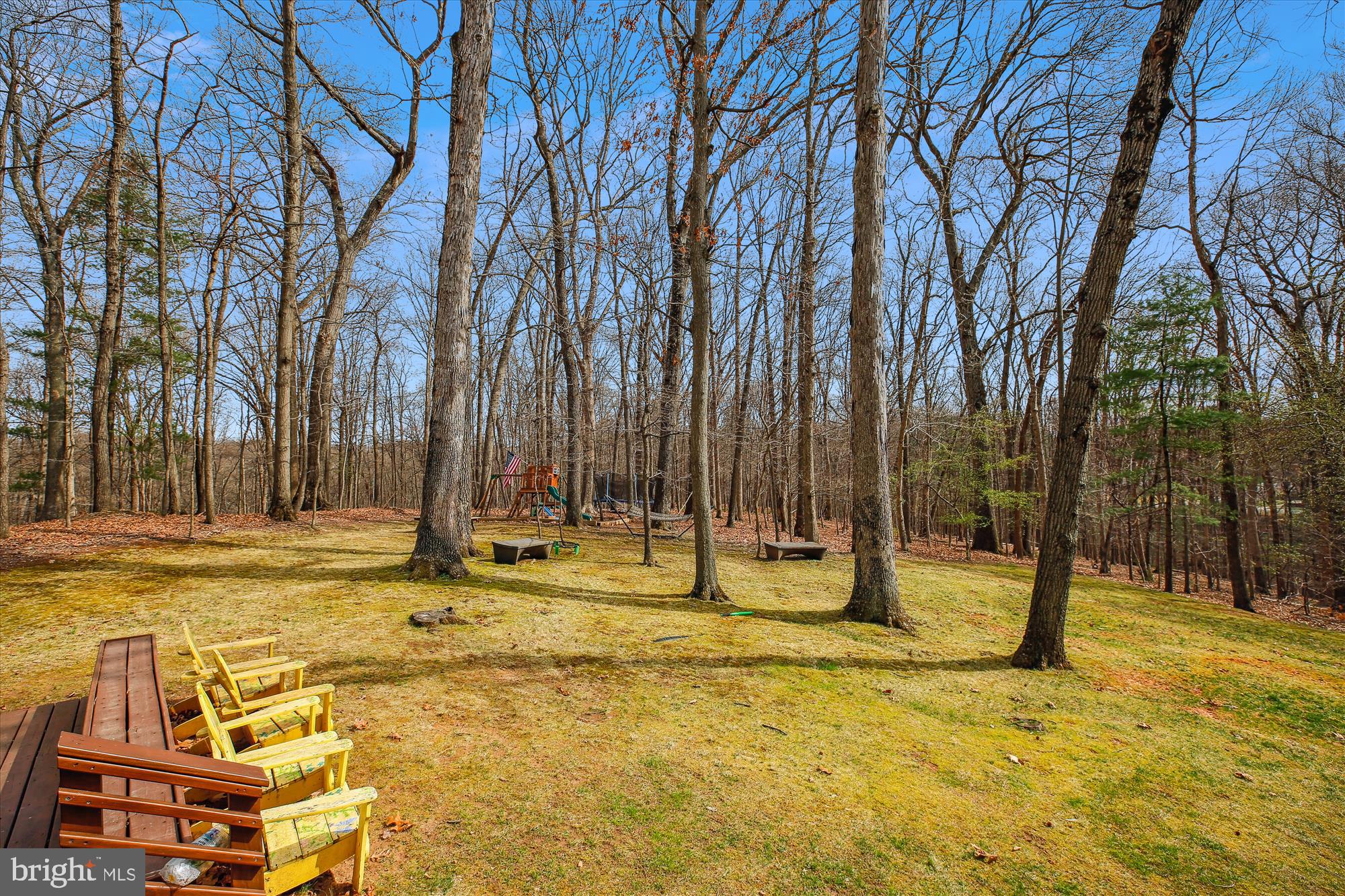 204 Hermleigh Road Silver Spring, MD 20902 - Photo 54 of 60 Vast Backyard