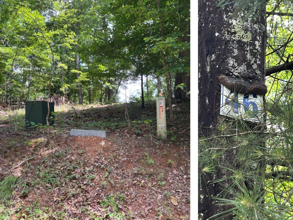 Lot 46 Mission Ridge Hayesville, NC 28904 - Photo 4 of 15