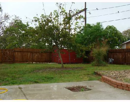 a view of a yard