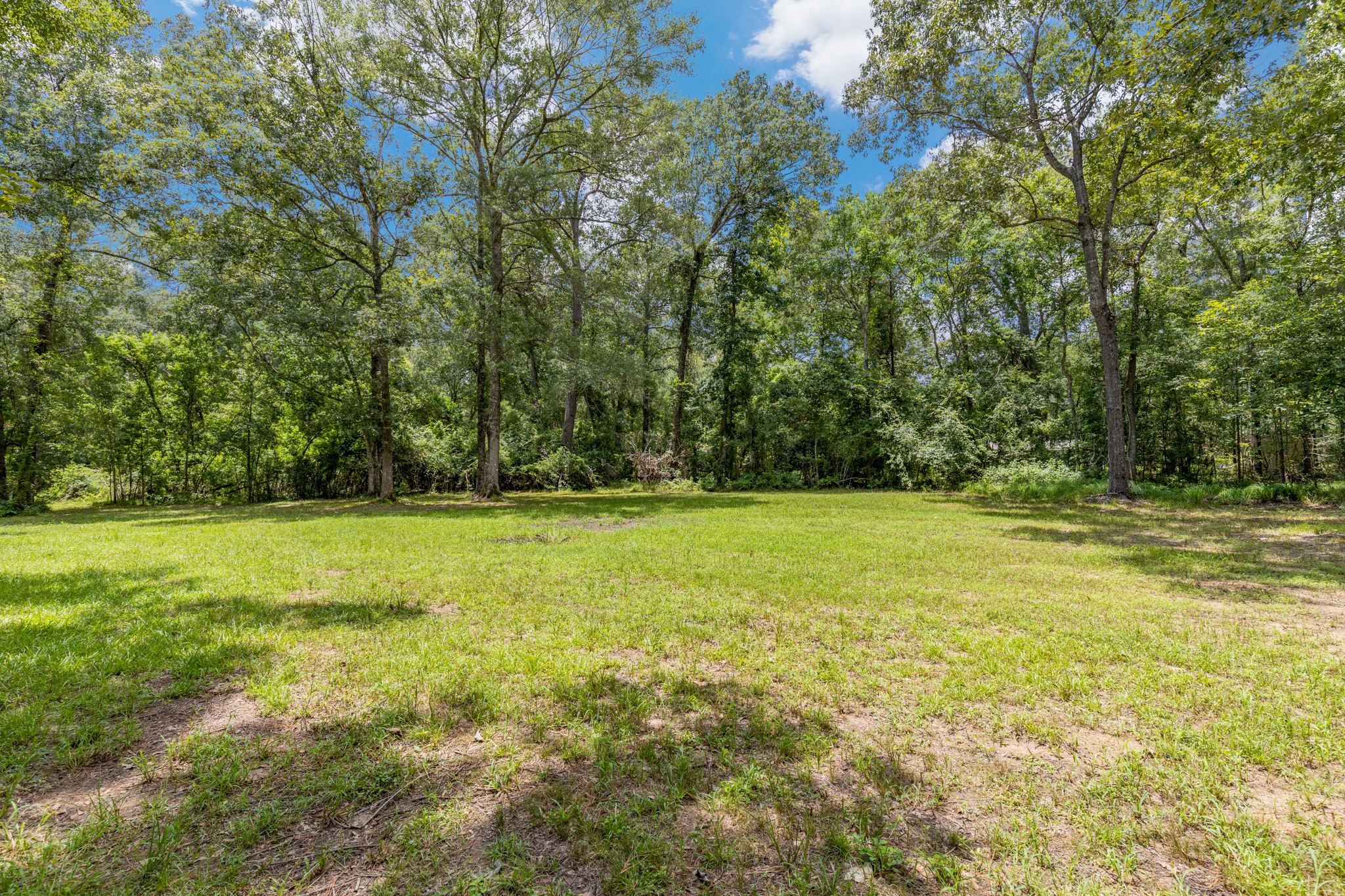 0 Holder Rambo Drive Huffman, TX 77336 - Photo 2 of 12