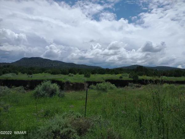 a view of a lake and green valley