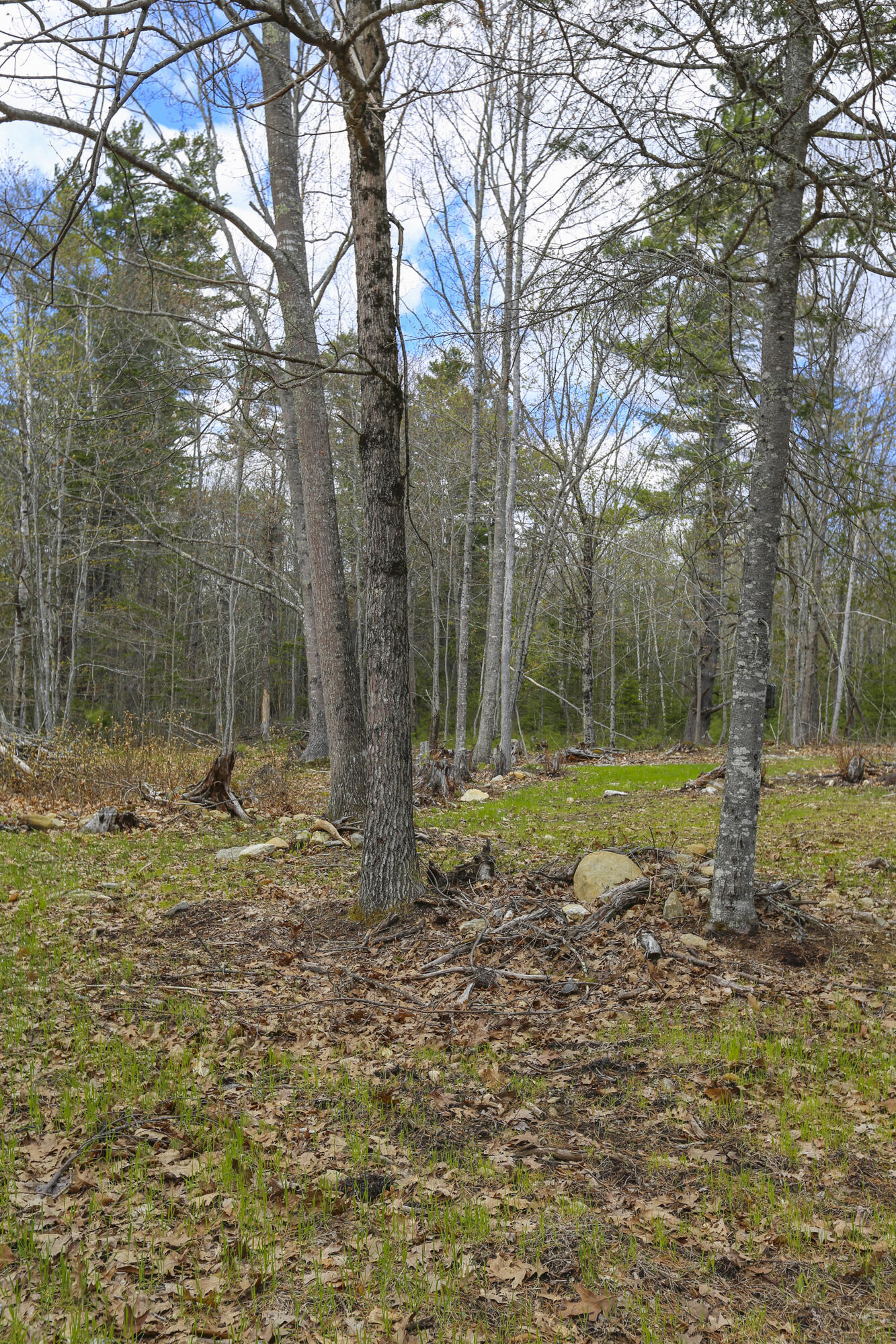47 Bonne Terre Road Belfast, ME 04915 - Photo 48 of 53 47Bonneterre-49