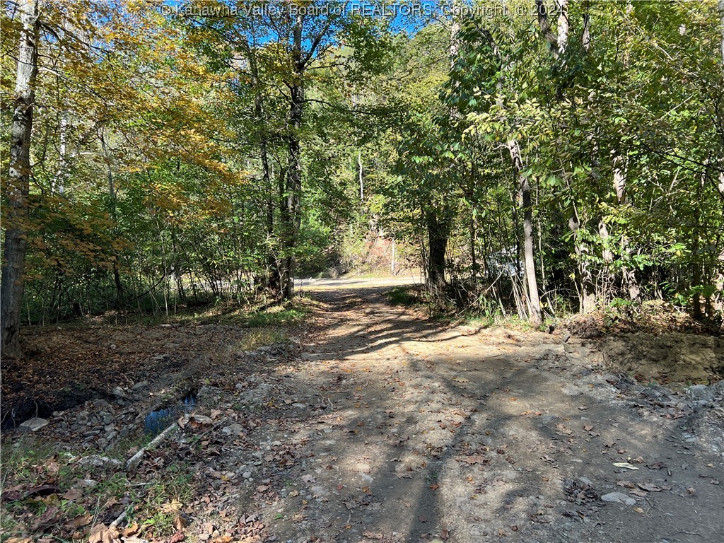 1586 Porter Creek Road Bomont, WV 25030 - Photo 2 of 12 Gallery Image 2