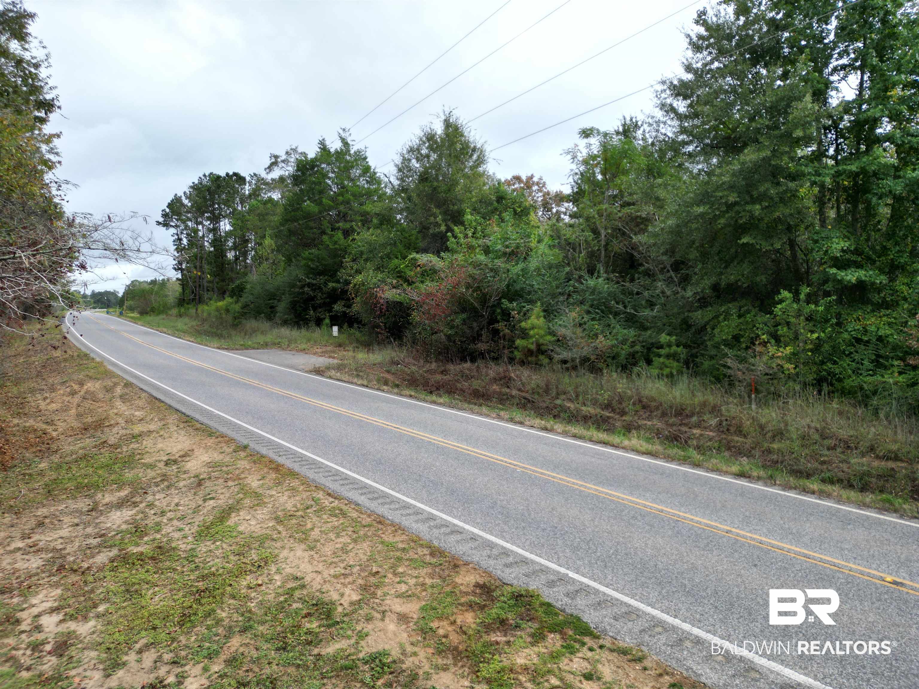 17606 Highway 41 Brewton, AL 36426 - Photo 8 of 13 View of asphalt road