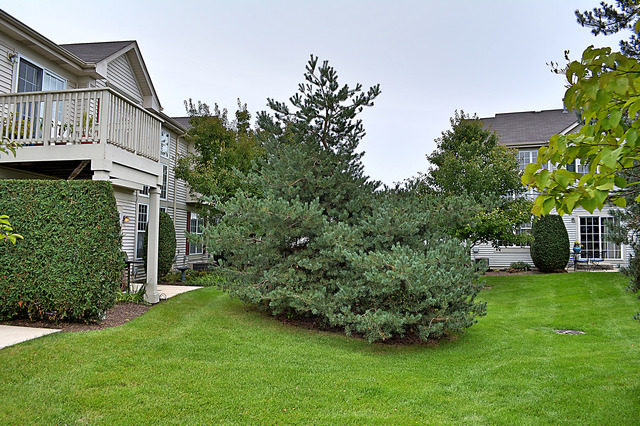 895 Riding Lane, Unit 895 St. Charles, IL 60174 - Photo 25 of 25