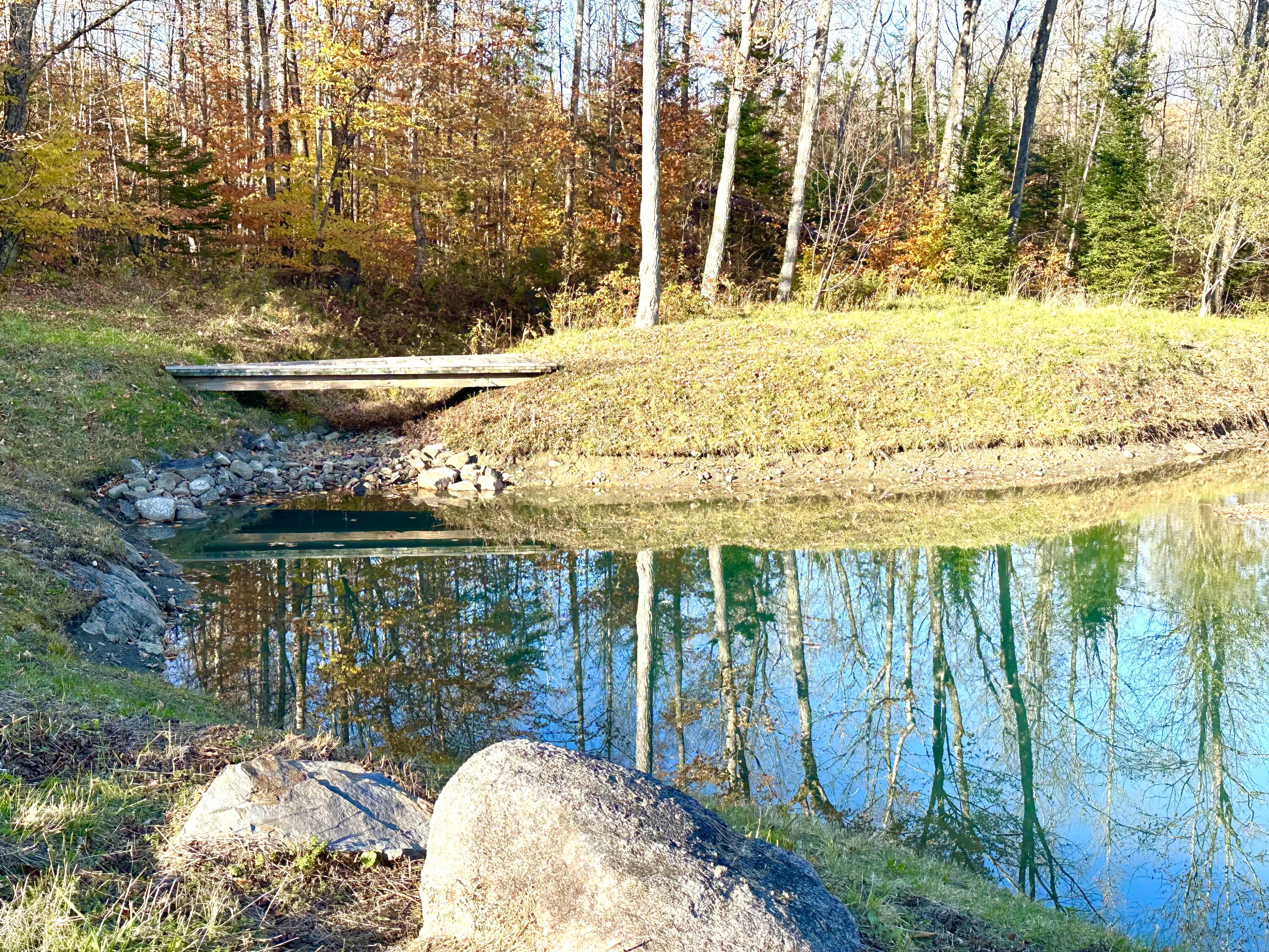 L38-2 Gilman Road Guilford, ME 04443 - Photo 7 of 22 IMG_4374