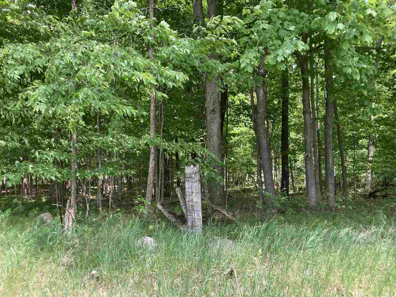 Tbd West Moss Road Fowler, MI 48835 - Photo 1 of 8 1887871.JPG