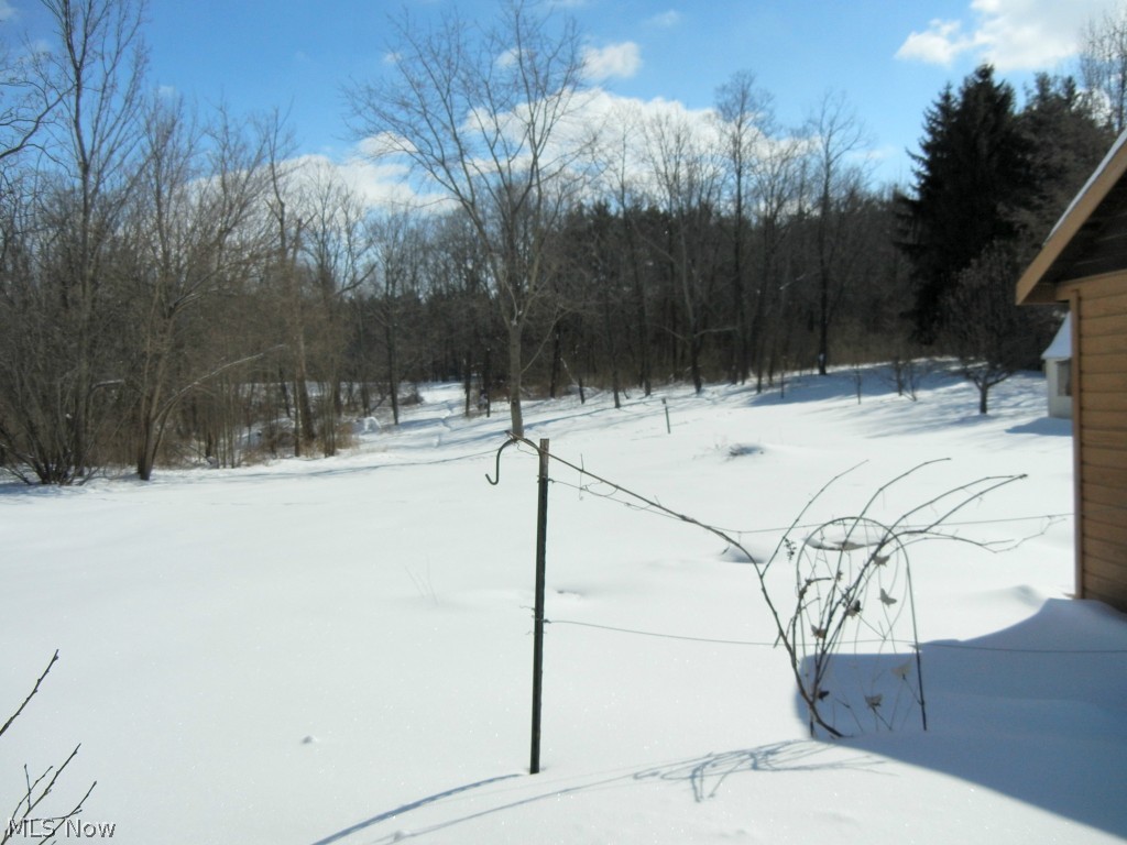 6997 Lafayette Road Medina, OH 44256 - Photo 4 of 25 Gallery Image 4