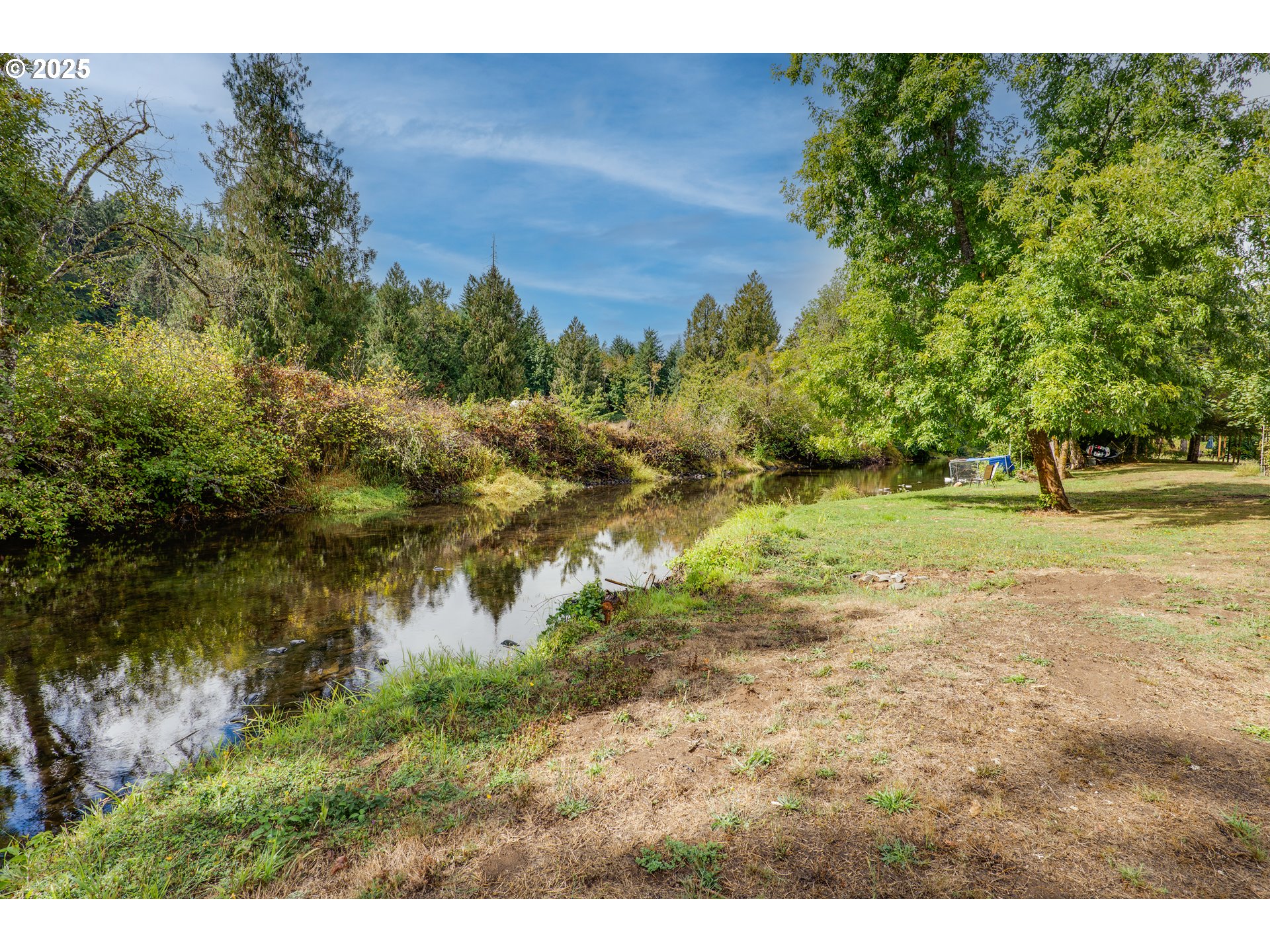 39582 Little Fall Creek Road Fall Creek, OR 97438 - Photo 39 of 44 a view of a yard with a tree