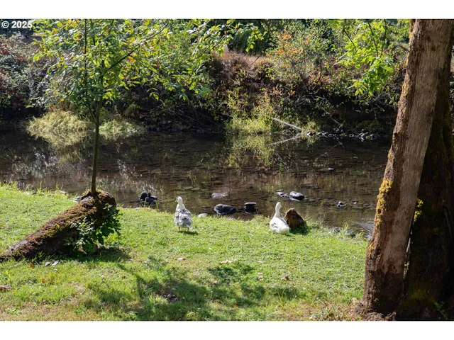 a house view with a backyard space