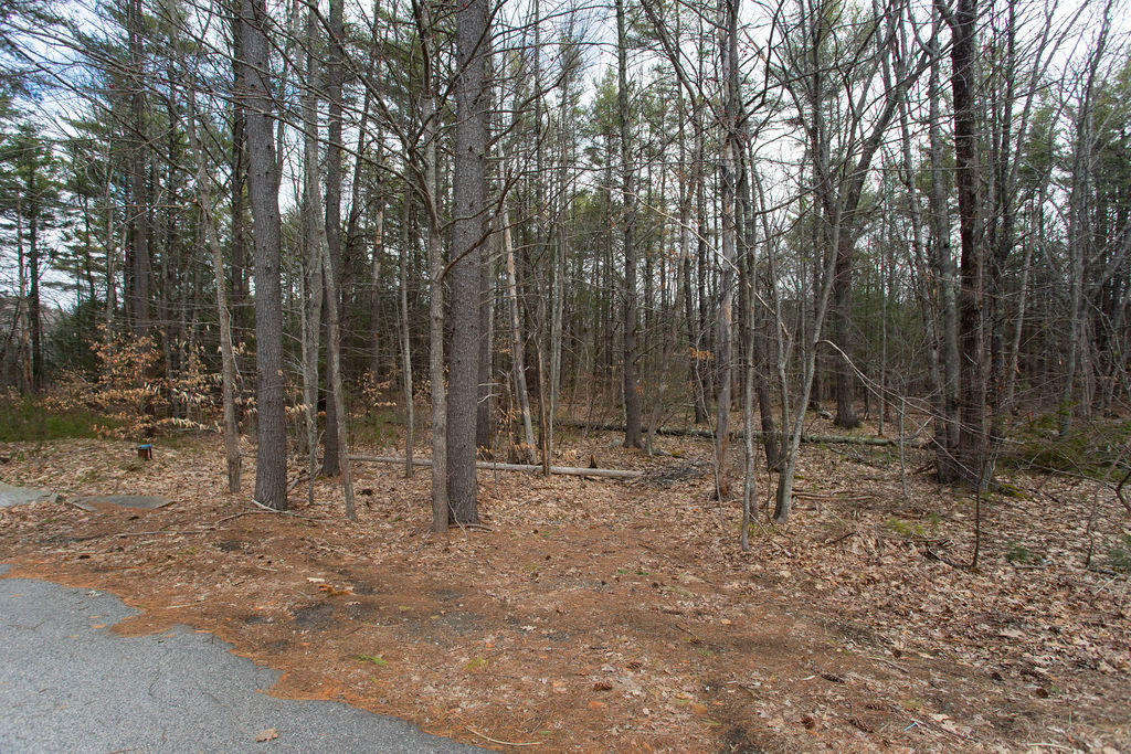 170 Chases Pond Road York, ME 03909 - Photo 1 of 13 170 Chases Pond Road