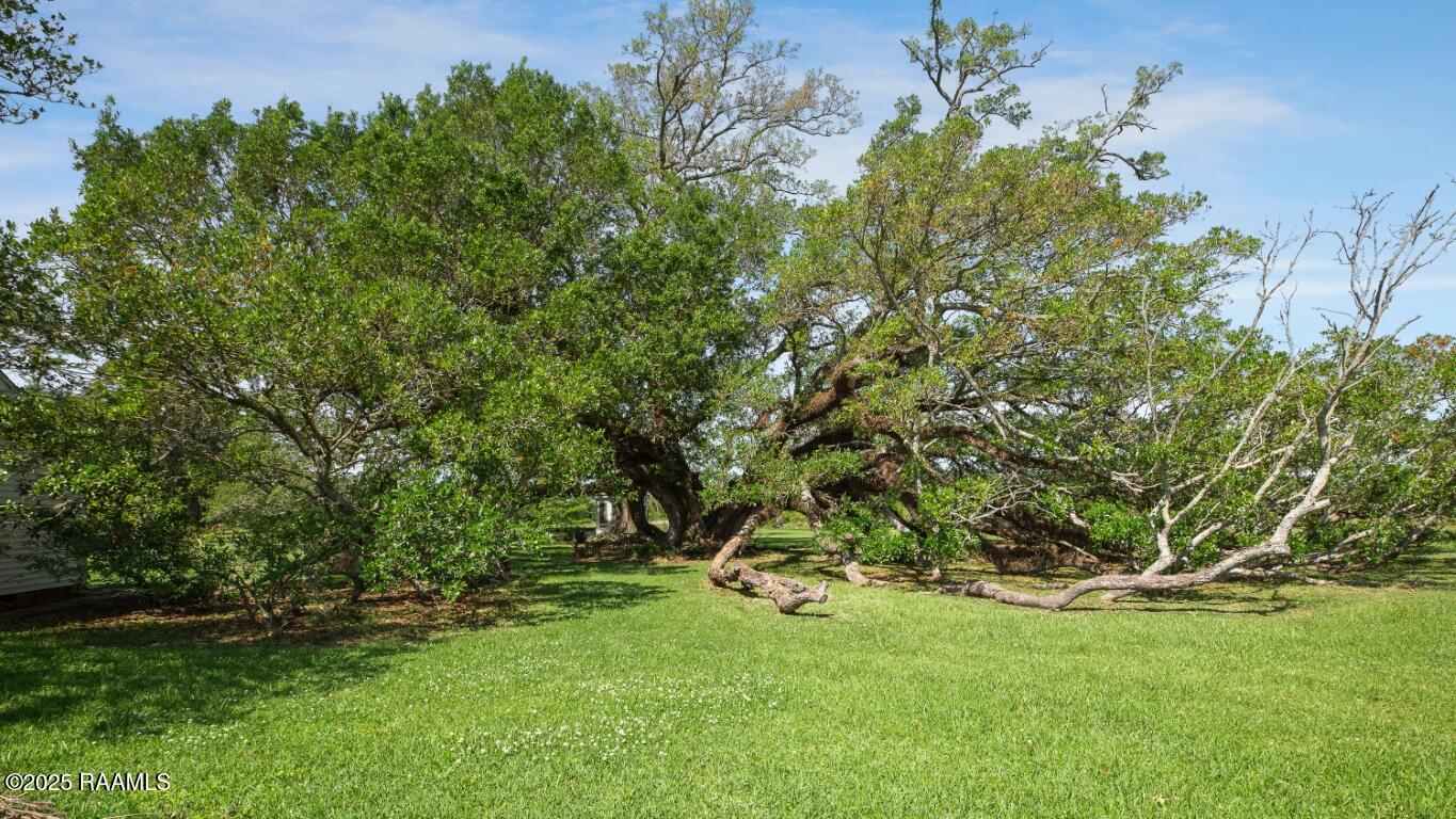 1430 Sheldon Road Rayne, LA 70578 - Photo 21 of 34 1430 Sheldon-21