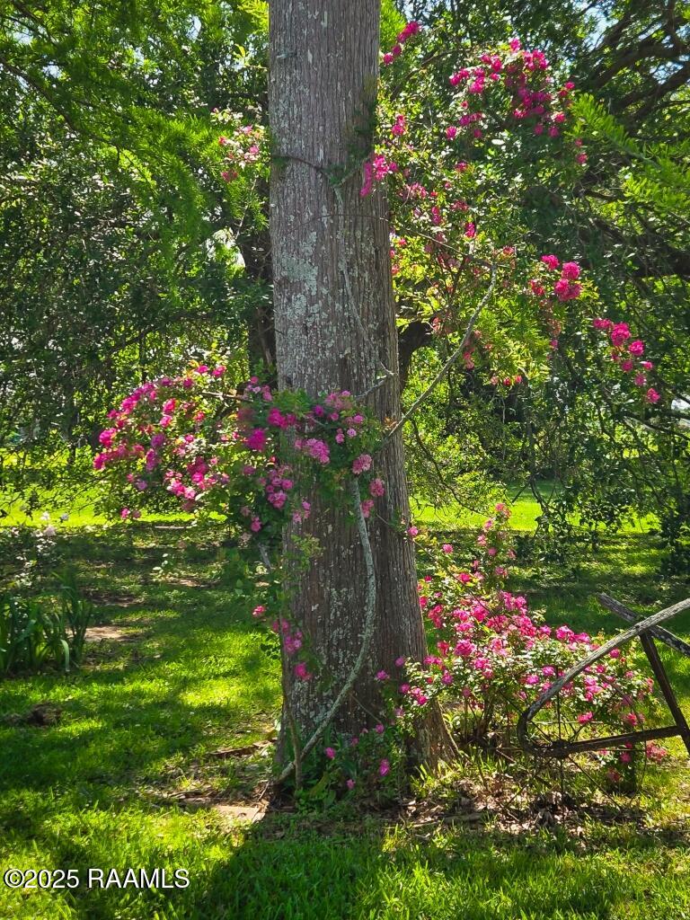 1430 Sheldon Road Rayne, LA 70578 - Photo 33 of 34 1430 Sheldon-33