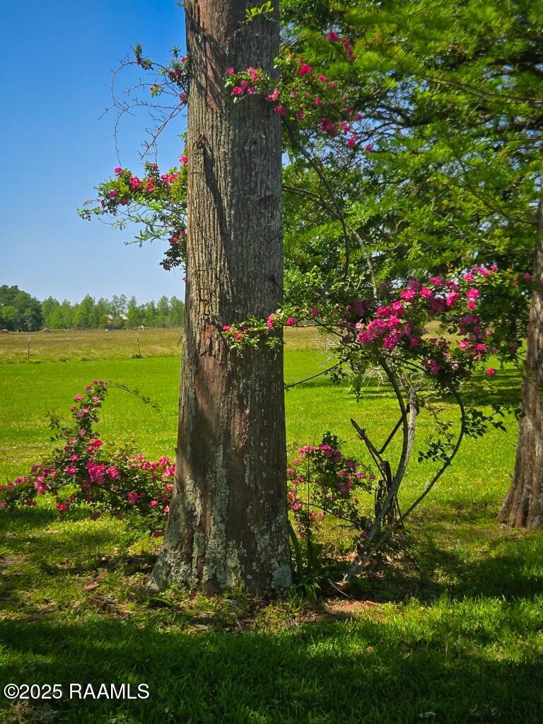 1430 Sheldon Road Rayne, LA 70578 - Photo 34 of 34 1430 Sheldon-34