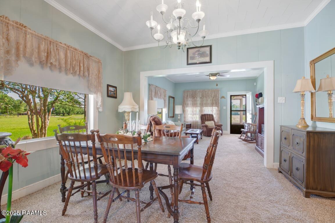 1430 Sheldon Road Rayne, LA 70578 - Photo 9 of 34 1430 Sheldon-9