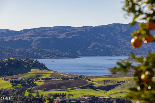 a picture of flowers