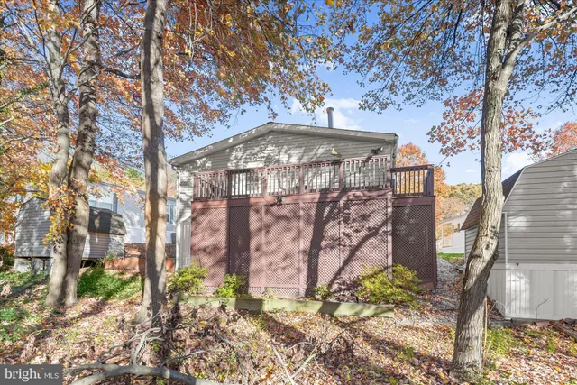 a view of a yard with plants and trees