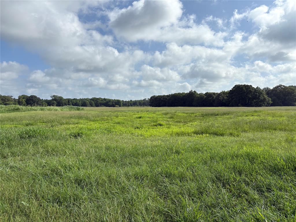 a view of a big green field with lots of green space and fog